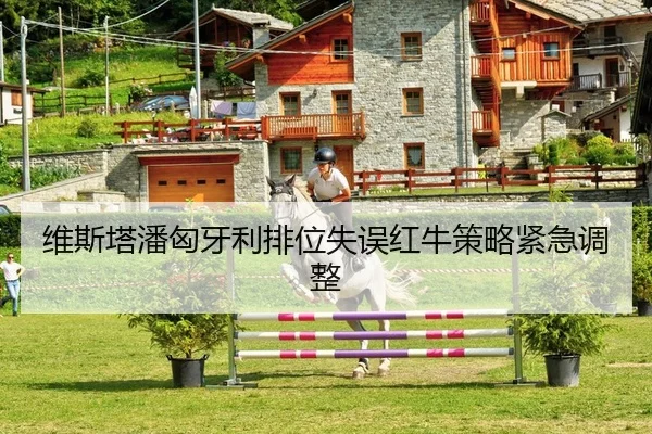维斯塔潘匈牙利排位失误红牛策略紧急调整